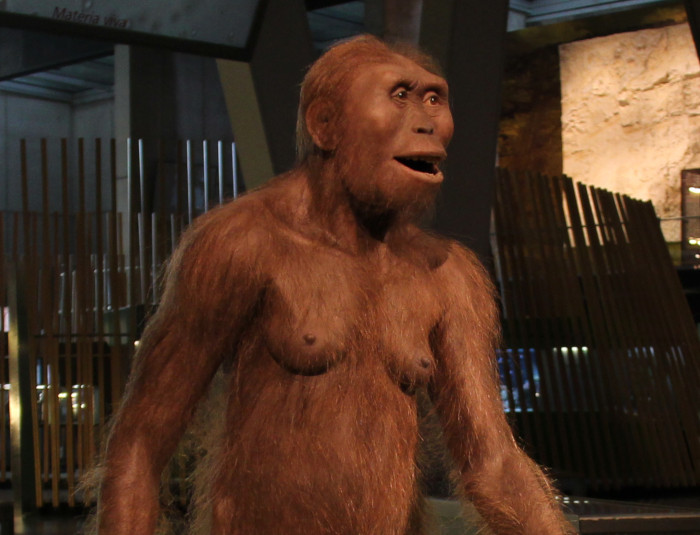 Australopithecus, dieta