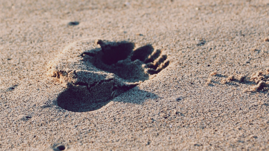 Earthing, grounding