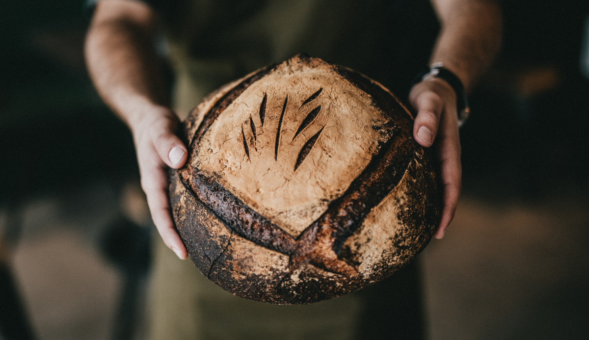 Gluten, un veneno de las plantas