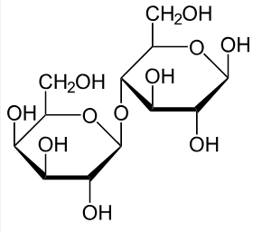 Lactosa