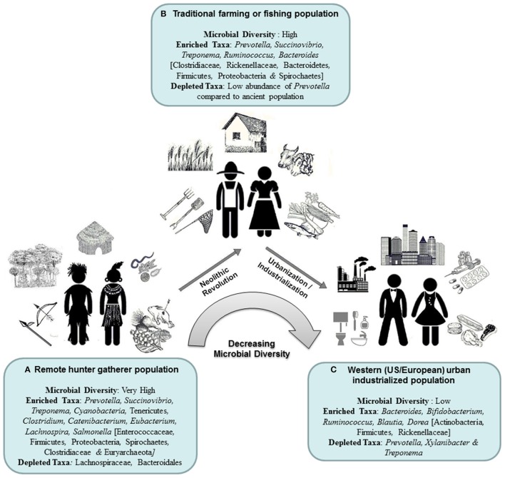 Microbiota, forma de vida