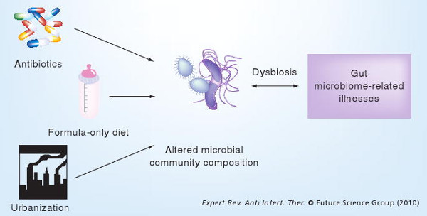 Microbiota